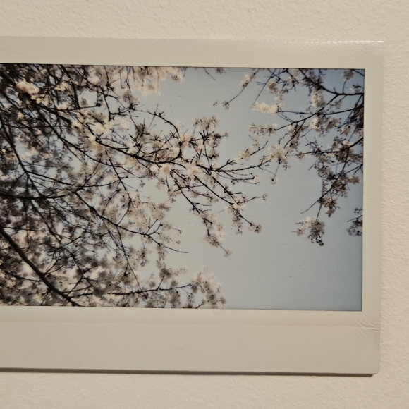 Fuji Instax Wide 300 instant film camera with case - Picture 3 of 4